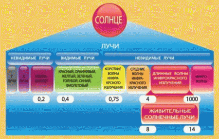 Влияние инфракрасного излучения
